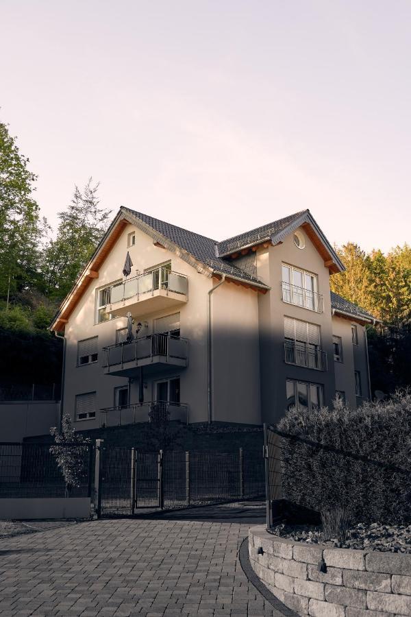 118Qm Premium Apartment - Birkenfeld National Park Ellweiler Экстерьер фото